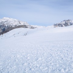 a0490