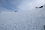 a0493